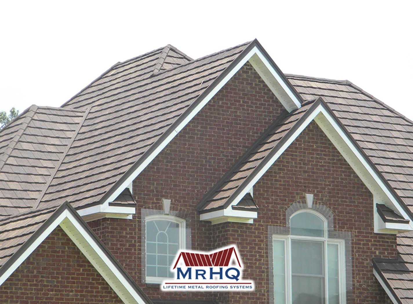 shake xd stapleton@1.5x